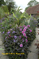 Great Dixter